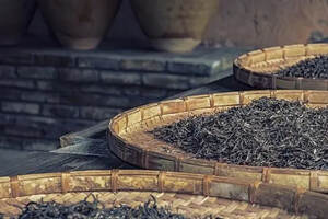 普洱茶的人工渥堆工艺是怎样操作的，有什么要求？