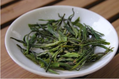 安吉白片属于绿茶吗