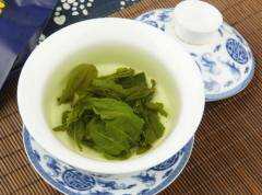 最贵古树茶多少钱一斤