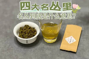 什么是岩茶的“名丛”？水仙、肉桂、大红袍，都是“名丛”吗？