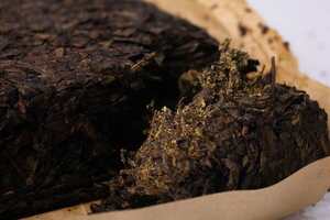 安化黑茶：黑茶原料粗老的原因分析