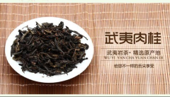 武夷肉桂茶叶多少钱一斤