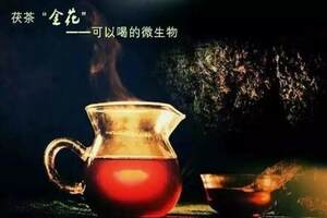 长期饮用黑茶的好处（黑茶的功效与作用）