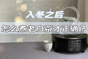 煮老白茶时，加入陈皮、枸杞、红枣，真的会让老白茶更好喝吗？