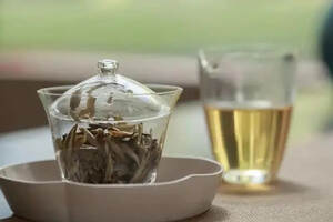 为什么冬天要多喝白茶养生？怎么喝才更有效？