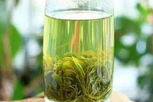 好山好水伴好茶，中国最北方的茗茶，日照绿茶
