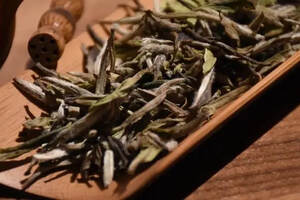 荒野白茶就是野生的白茶吗？有哪些特点？