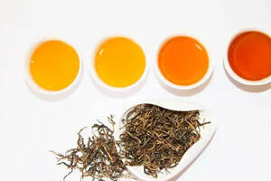 世界红茶产品质量推选，积庆里英红九号金毛毫荣获“大金奖”