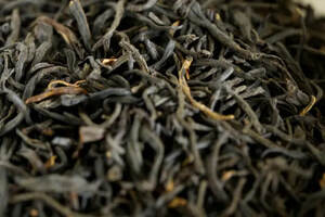 今日揭秘：为什么同一款茶在不同地区的存放方法完全不同？