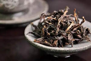 存放两百多年的武夷陈茶，还能喝吗？