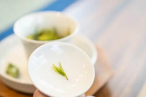 安徽版的安吉白茶，你知道是什么茶吗？