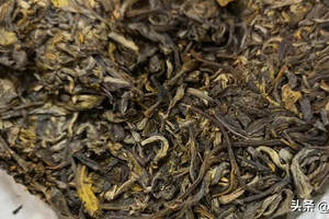 茶行业不愿公开的秘密，为什么传统普洱茶生茶是真正茶叶的标准？