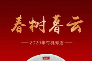 2020鉴慷仁有机白茶新品上市初见欢「有机寿眉」限量发行