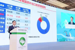 刘仲华：中国茶高质量发展需要哪些科技突破