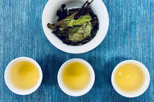 有机白茶入门系列：如何区分白茶的品种和等级？