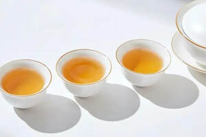 泡有机白茶，水质决定茶汤的口感