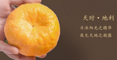制作陈皮我们应该用哪种橘子最好？原来最好的陈皮竟然在这里!
