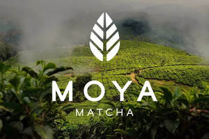 日本MoyaMatcha茶品牌形象