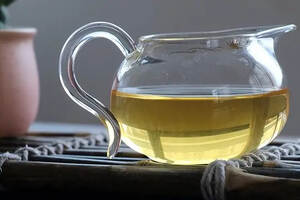 生茶和普洱熟茶的口感有何区别（普洱茶生茶和熟茶有何区别作用）