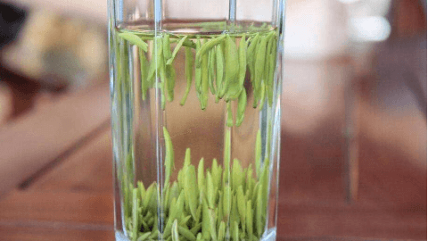 你知道泡绿茶应选用什么材质的的茶器吗？
