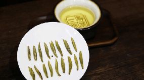 黄茶品种（黄茶有哪些品种及产地）