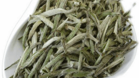 松溪绿茶的文化故事