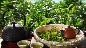 吃玉灵膏期间可以喝蒲公英菊花枸杞红枣茶
