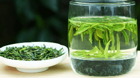 绿茶作用与功效果
