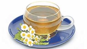 抗白菊花茶的功效与作用