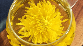 泡茶菊花的种类图片