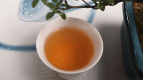 喝茶对人的生理功效