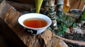 普洱茶的好处与副作用