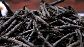 菊苣根茶有什么功效与副作用