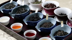 京东低价买普洱茶