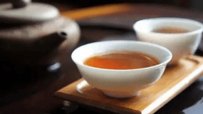 红茶茶树品种