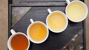 铁观音算绿茶的品种吗