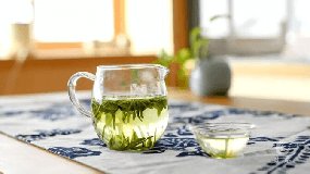 安吉白茶属于什么茶（安吉白茶的特点和功效）