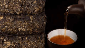 精炼茶油与土茶油