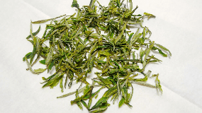黄山毛峰茶叶原料