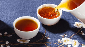 普洱茶是属于什么类型的茶