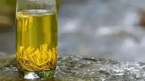 黄金白茶多少钱一斤