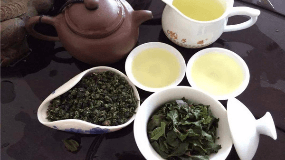 乌龙茶是什么茶系