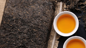 黑茶为什么治便秘