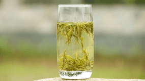 黄茶现在多少钱一斤
