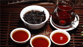白河春燕茶图片