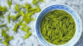 太湖碧螺春属不属于绿茶
