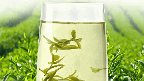瓷壶泡绿茶的方法