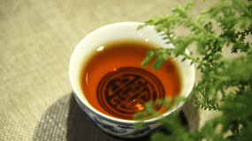 信阳茶文化节2021年