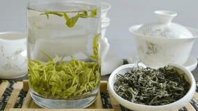 藤茶和绞股蓝是一种植物吗