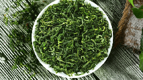 山东茶叶品种绿茶